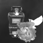 عطر ادکلن گاردنیا اکستریت د پارفوم شنل - Gardénia Extrait de Parfum Chanel - بررسی، قیمت و خرید