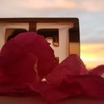 عطر ادکلن اسپشیالی اسکادا دلیکیت نوتس اسکادا - Especially Escada Delicate Notes Escada - بررسی، قیمت و خرید