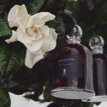 عطر ادکلن اُن وُوآ نُوآر سرژ لوتنس - Une Voix Noire Serge Lutens - بررسی، قیمت و خرید