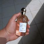 عطر ادکلن آکوا الگوریا برگاموت کالابریا گرلن - Aqua Allegoria Bergamote Calabria Guerlain - بررسی، قیمت و خرید