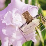 عطر ادکلن پرایوت کالکشن تیوبروز گاردنیا استی لادر - Private Collection Tuberose Gardenia Estée Lauder - بررسی، قیمت و خرید