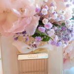 عطر ادکلن کلوئه او دو توالت کلوئه - Chloé Eau de Toilette (2015) Chloé - بررسی، قیمت و خرید