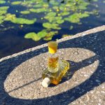 عطر ادکلن وازدوخ آسن سیورنو سییانیه - Воздух Осени (Air of Autumn) Северное сияние - بررسی، قیمت و خرید
