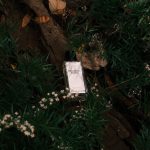 عطر ادکلن بوسولیا اسکوتیا جروم استودیو - Boswellia Scotia Jorum Studio - بررسی، قیمت و خرید