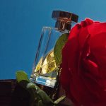 عطر ادکلن رز پریو لارتیزان پرفیومر - Rose Privée L'Artisan Parfumeur - بررسی، قیمت و خرید