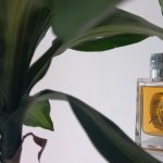 عطر ادکلن زاد سانتال او بوتیکاریو - Zaad Santal O Boticário - بررسی، قیمت و خرید
