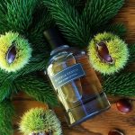 عطر ادکلن بوتگا ونتا پور هوم اکستریم بوتگا ونتا - Bottega Veneta Pour Homme Extreme Bottega Veneta - بررسی، قیمت و خرید