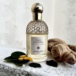 عطر ادکلن آکوا الگوریا برگاموت کالابریا گرلن - Aqua Allegoria Bergamote Calabria Guerlain - بررسی، قیمت و خرید