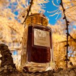 عطر ادکلن تانجیئر وانیل آرین - Tangier Vanille Aerin - بررسی، قیمت و خرید