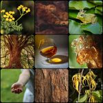 عطر ادکلن سکند اسکین آنا زووریکینا پرفیومز - Second Skin Anna Zworykina Perfumes - بررسی، قیمت و خرید