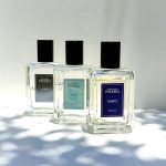 عطر ادکلن بريسا فیبو - Brisa Phebo - بررسی، قیمت و خرید
