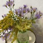 عطر ادکلن ژولی ژولی فابرلیک - Jolie Jolie Faberlic - بررسی، قیمت و خرید