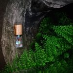 عطر ادکلن نارکوتیک وینوس ناسوماتو - Narcotic Venus Nasomatto - بررسی، قیمت و خرید