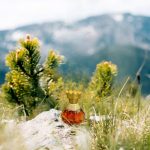 عطر ادکلن تاد اولدهام تاد اولدهام - Todd Oldham Todd Oldham - بررسی، قیمت و خرید