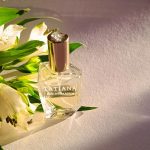 عطر ادکلن تاتیانا دایان فون فورستنبرگ - Tatiana Diane von Furstenberg - بررسی، قیمت و خرید