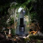 عطر ادکلن گُست پاین لوونیا - Ghost Pine Lvnea - بررسی، قیمت و خرید