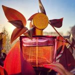 عطر ادکلن آیدس دِ وَنُستاس اُ دو پَرفیوم آدس دو ونوستاس - Aedes de Venustas Eau de Parfum Aedes de Venustas - بررسی، قیمت و خرید