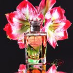 عطر ادکلن دیورسن دیور - Dioressence Dior - بررسی، قیمت و خرید