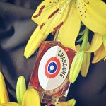 عطر ادکلن شارون اِتَ لیبر دُرَنج - Charogne Etat Libre d'Orange - بررسی، قیمت و خرید