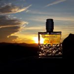 عطر ادکلن هابانیتا لا کلون مولینار - Habanita La Cologne Molinard - بررسی، قیمت و خرید