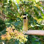 عطر ادکلن فیفت اونیو الیزابت آردن - 5th Avenue Elizabeth Arden - بررسی، قیمت و خرید