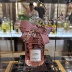 عطر ادکلن چری بلوسوم ۲۰۲۳ میلزیم گورلن - Cherry Blossom 2023 Millésime Guerlain - بررسی، قیمت و خرید