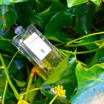 عطر ادکلن کلر دو موسک سرژ لوتنس - Clair de Musc Serge Lutens - بررسی، قیمت و خرید