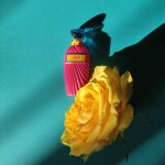 عطر ادکلن سنسو اِمانوئِل اونگارو - Senso Emanuel Ungaro - بررسی، قیمت و خرید