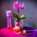 عطر ادکلن پور دزیر د لیلا ایو روشه - Pur Desir de Lilas Yves Rocher - بررسی، قیمت و خرید
