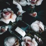 عطر ادکلن وودو مین نیویورک - Voodoo MiN New York - بررسی، قیمت و خرید