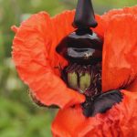 عطر ادکلن دالی پرفیوم سالوادور دالی - Dali Parfum Salvador Dali - بررسی، قیمت و خرید