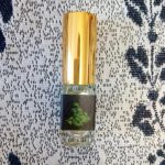 عطر ادکلن وایلد فورست سیوردیا پرفیومز - Wild Forest Siordia Parfums - بررسی، قیمت و خرید
