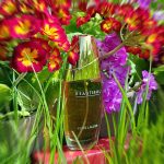 عطر ادکلن بیوتیفول استی لودر - Beautiful Estée Lauder - بررسی، قیمت و خرید