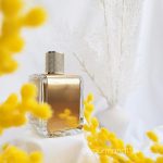 عطر ادکلن می‌موزا این د اِ ایر ورونیک گبای - Mimosa In The Air Veronique Gabai - بررسی، قیمت و خرید