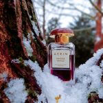 عطر ادکلن تانجیئر وانیل آرین - Tangier Vanille Aerin - بررسی، قیمت و خرید