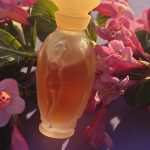 عطر ادکلن سیرن ویکی تیل - Sirene Vicky Tiel - بررسی، قیمت و خرید