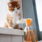 عطر ادکلن اودو ورنس نامبر ایت اولریک دو وارن - Eau de Varens N° 8 Ulric de Varens - بررسی، قیمت و خرید