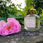 عطر ادکلن رزا نوولا سانتا ماریا نوولا - Rosa Novella Santa Maria Novella - بررسی، قیمت و خرید