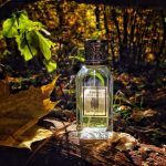 عطر ادکلن وتیور اِترو - Vetiver Etro - بررسی، قیمت و خرید