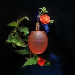 عطر ادکلن انرجایزینگ فرگرنس شیسیدو - Energizing Fragrance Shiseido - بررسی، قیمت و خرید