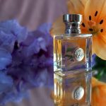 عطر ادکلن ورساچه پوره فم ورساچه - Versace Pour Femme Versace - بررسی، قیمت و خرید