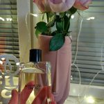 عطر ادکلن نو وان رز پتال دراپس زارا - No 1 Rose Petal Drops Zara - بررسی، قیمت و خرید