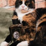 عطر ادکلن سیوت زولوژیست پرفیومز - Civet Zoologist Perfumes - بررسی، قیمت و خرید