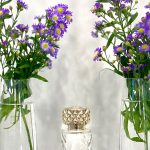 عطر ادکلن مالمیسون دوازده پرفیومر فرانسوی - Malmaison 12 Parfumeurs Francais - بررسی، قیمت و خرید