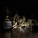 عطر ادکلن لوبلیو مئو فوشیونی - L'Oblìo Meo Fusciuni - بررسی، قیمت و خرید
