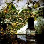 عطر ادکلن دندلایون واین فورتو - Dandelion Wine For Or To - بررسی، قیمت و خرید