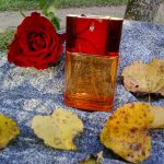 عطر ادکلن ماست دو کارتیر کارتیر - Must de Cartier Cartier - بررسی، قیمت و خرید