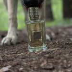 عطر ادکلن فرنچ افر اکس نیهلو - French Affair Ex Nihilo - بررسی، قیمت و خرید