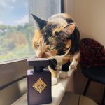 عطر ادکلن ساید افکت اینیسیا پرفیومز پریو - Side Effect Initio Parfums Prives - بررسی، قیمت و خرید