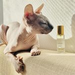 عطر ادکلن وتیور دانتول پارفوم - Vetiver — Ветивер D’Antol’ Parfums - بررسی، قیمت و خرید
